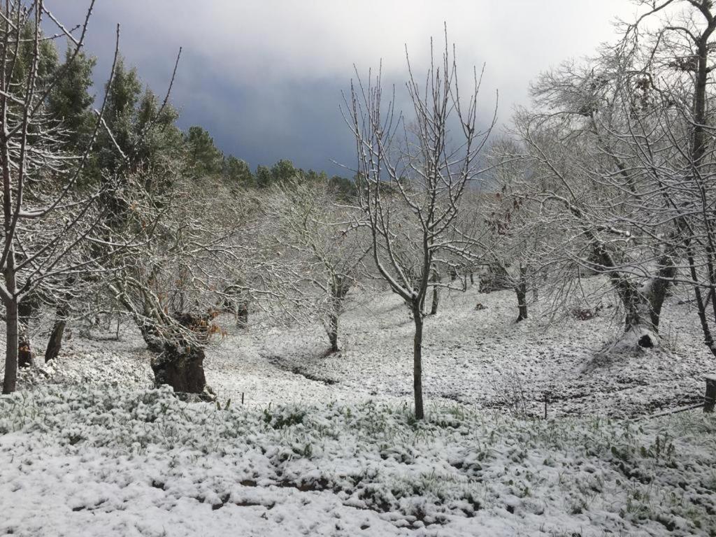 Viviendas Rurales Del Robledo Castano de Robledo Bagian luar foto